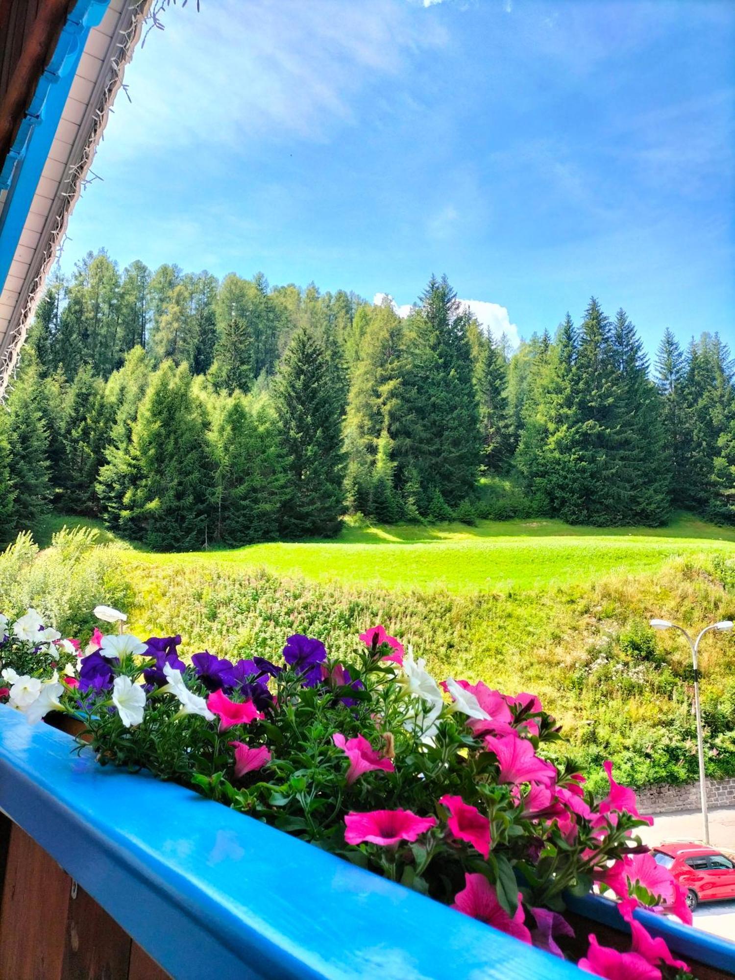 Hotel Vael Vigo di Fassa Eksteriør billede